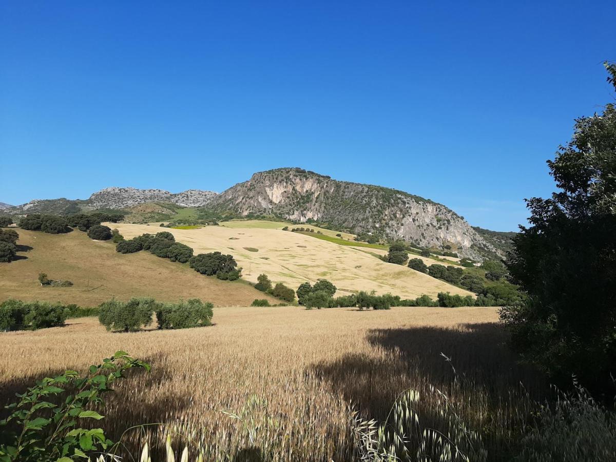 Huerta La Laja,Casa Grande Konuk evi Ronda Dış mekan fotoğraf